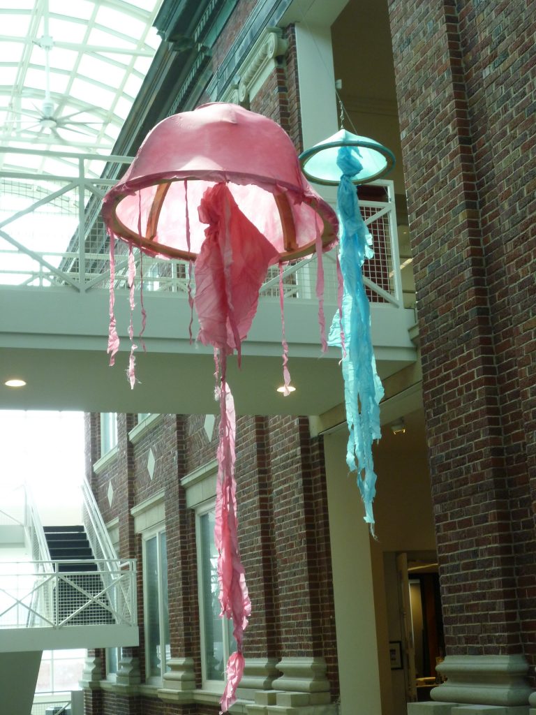 Jelly fish in the library