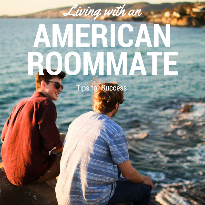 the american roommate