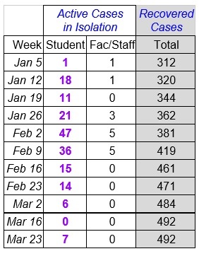 Faculty Senate Working Group - chart March 24_2021