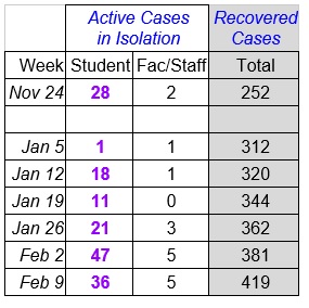 Faculty Senate Working Group - chart Feb 10_2021