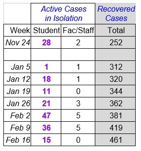 Faculty Senate Working Group - chart Feb 17_2021