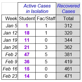 Faculty Senate Working Group - chart Feb 24_2021