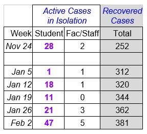 Faculty Senate Working Group - chart Feb 3_2021