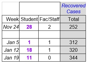 Faculty Senate Working Group - chart Jan 20_2021