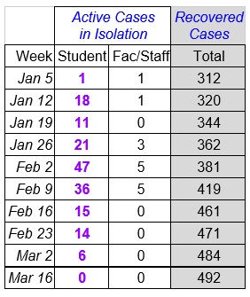 Faculty Senate Working Group - chart March 17_2021