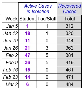 Faculty Senate Working Group - chart March 3_2021